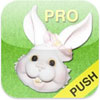 Easter Countdown Pro w/Push Notifications